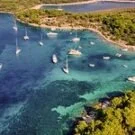 PowysMidwales Avatar